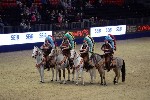 Quadrille - 00138